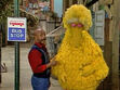 Gordon observes Big Bird sleeping on the sidewalk standing up in episode 2191