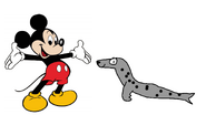 Mickey meets Leopard Seal
