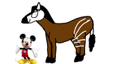 Quagga (Equus quagga quagga)