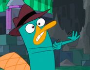 Perry-perry-the-platypus-26286735-765-599