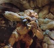 Rancor