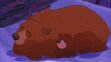 Brother bear 2 Kenai and Koda sleeping