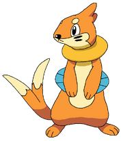 Buizel rosemaryhillspokemonadventures