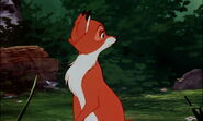 Fox-and-the-hound-disneyscreencaps.com-7448