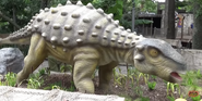 San Antonio Zoo Ankylosaurus