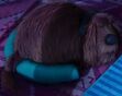 The Secret Life of Pets Duke Sleeping
