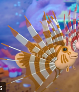 Common Llionfish