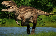 Carcharodontosaurus saharicus