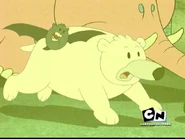 KND Polar Bear.jpg (36 KB)