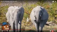 Kiddopedia Elephants.png (2.61 MB)