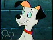Lucky (101 Dalmatians; 1961).jpg (41 KB) Lucky as Woog
