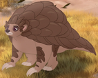 Ground Pangolin