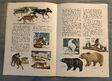 A Golden Exploring Earth Book of Animals (12)