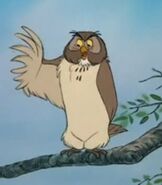 Owl in The Many Adventures of Winnie the Pooh