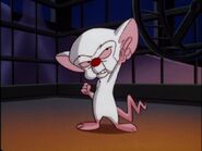 Pinky-and-the-brain-take-over-the-world-line-28