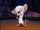 Brain (Pinky and the Brain)