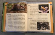 Scholastic Encyclopedia Of Animals (4)