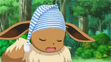 Serena's Eevee sleeping