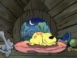 T-Bone sleeping