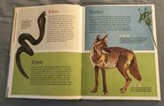 The Dictionary of Ordinary Extraordinary Animals (10)
