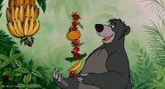 Baloo as Verne