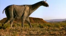 Paraceratherium.jpg