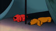 Puppy Clifford and Jorge sleeping in My Blanky