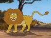 Rileys Adventures Congo Lion