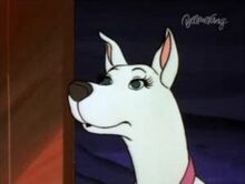 Scooby Dee.jpg