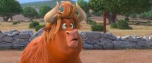Angus The Bull.jpg