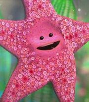 Peach the Starfish