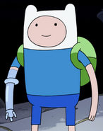 Finn