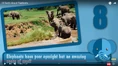 Unbelievable Facts African Elephants.png (1.56 MB)