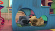 Bingo and Rolly are sleeping in Adventures in Puppy Sitting