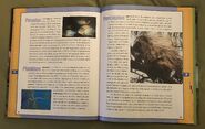 Scholastic Encyclopedia Of Animals (40)