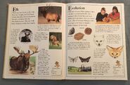 The Kingfisher First Animal Encyclopedia (26)