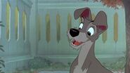 Tramp as Scooby Doo