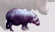 Cyprus Dwarf Hippopotamus as Histriasaurus