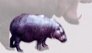 Cyprus dwarf hippopotamus