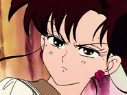 Lita/Sailor Jupiter as Nurse Joy