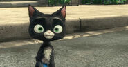 Mittens,