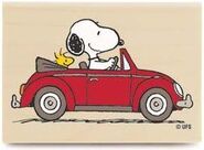 Snoopy driving