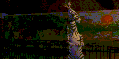 7igVXYS.gif