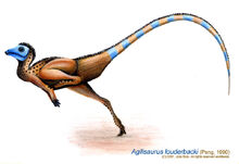 Agilisaurus louderbacki by sputatrix.jpg