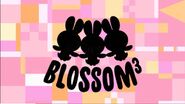 Blossom3 (Title Card)