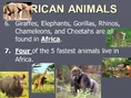 Giraffes Elephants Lions Chameleons Leopards Zebras Hippos Rhinos Gorillas.jpg (124 KB)