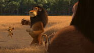 Madagascar2-disneyscreencaps.com-136