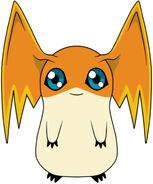 Patamon as Sean Murphy