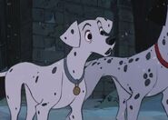 Perdita With Pongo