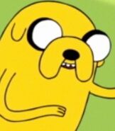 Jake in Adventure Time